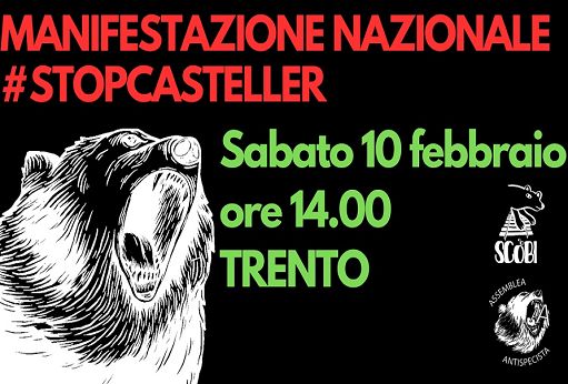 StopCasteller: in mille a Trento contro legge “ammazza-orsi” di Fugatti