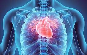 Al Gemelli uno studio sulla prevenzione cardiovascolare del futuro