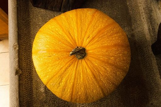 Dal Friuli due nuovi presìdi Slow Food: il Malon e la Bianchera