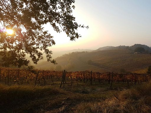 Vino, il 6-7 aprile torna l’anteprima Timorasso “Derthona Due.Zero”