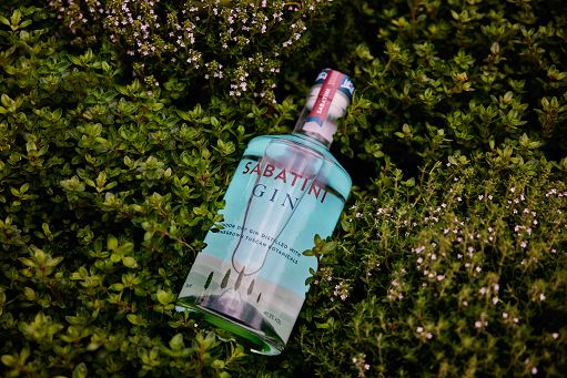 Sabatini Gin sigla accordo distribuzione con Compagnia dei Caraibi