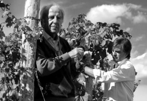 E’ morto Marco Felluga, uno dei patriarchi dell’enologia friulana