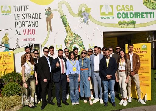 Indagine coldiretti: 5500 giovani tra le vigne italiane