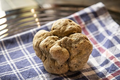 Michele Boscagli confermato a guida Associazione Città del Tartufo