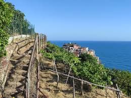 Cinque terre, il sentiero Monterosso-Vernazza a senso unico a piedi durante Ponti