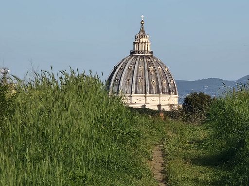 “Zona Traversate Libere”, manuale di riscoperta della città Eterna