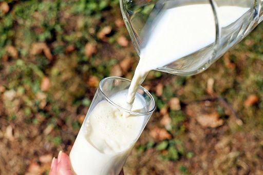 Cia Campania: criticità su tracciabilità latte di bufala