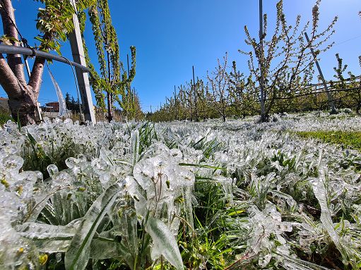 Agricoltura, danni da gelo al Nord e da siccità al Sud