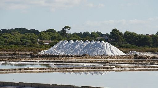 A Margherita di Savoia seconda tappa progetto Confagri su saline