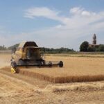Agricoltura, in Toscana bando partenariati a supporto innovazione
