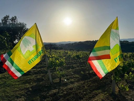 Assemblea agricoltori Coldiretti: da fauna selvatica 200 mln danni