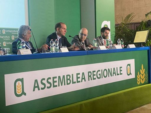 Giansanti: autonomia alimentare Ue a rischio senza risorse adatte