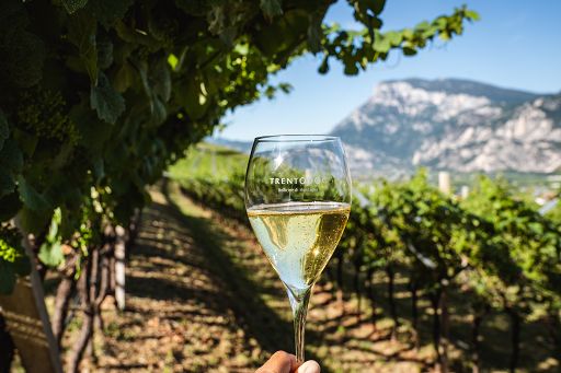 Vino, il 20 maggio a Milano giornata di approfondimento del Trentodoc