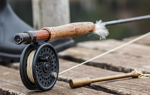 Alleanza Cooperative: pesca palamito sportivo resta a 50 ami