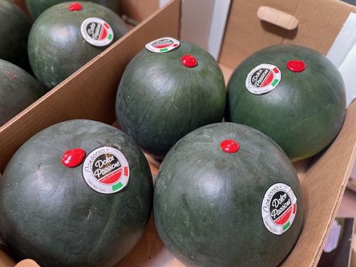 Consorzio cocomero a buccia nera 100% italiano punta su export