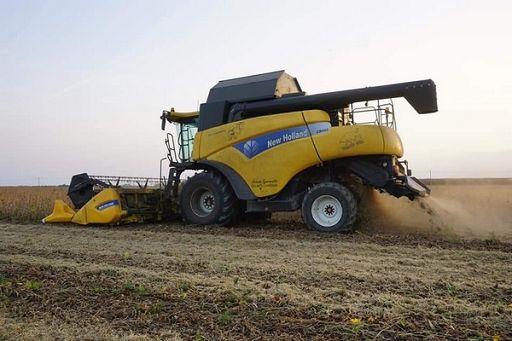 A causa del maltempo danni ai seminativi da Polesine al Padovano