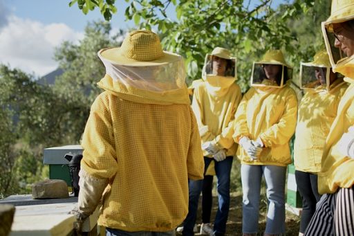Giornata mondiale api, Crea per le sentinelle dell’ambiente