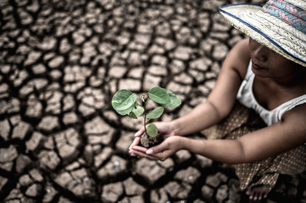 La siccità in Sardegna mette in crisi agricoltori e allevatori