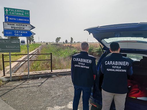 Truffa all’Unione Europea, sequestrati 441mila euro a Catania