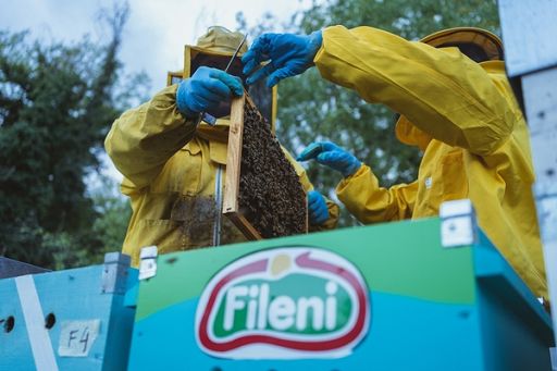 Progetto Fileni ‘Buon miele non mente’: api sentinelle ambiente