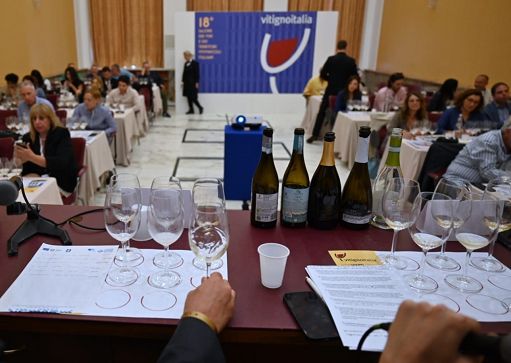 Vino, 10mila visitatori a Napoli per “VitignoItalia” 2024