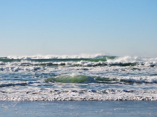 I presìdi Slow Food della pesca si fermano per salvare il mare