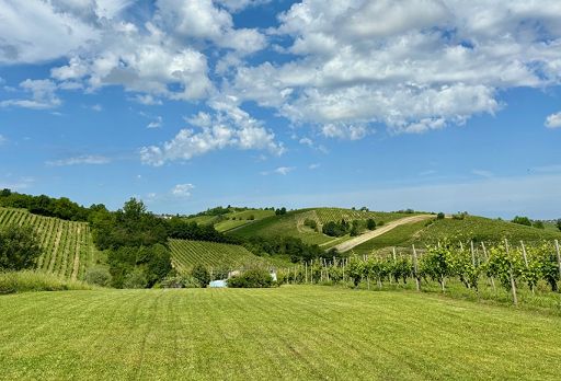 Il 15 giugno una giornata per scoprire i vini dei Colli Piacentini