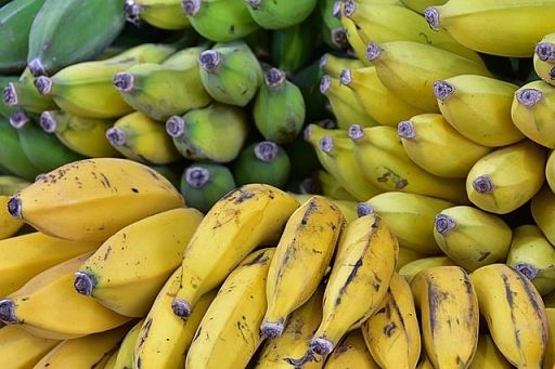 Coldiretti: lavoro minorile, 7 su 10 sfruttati per produrre cibo