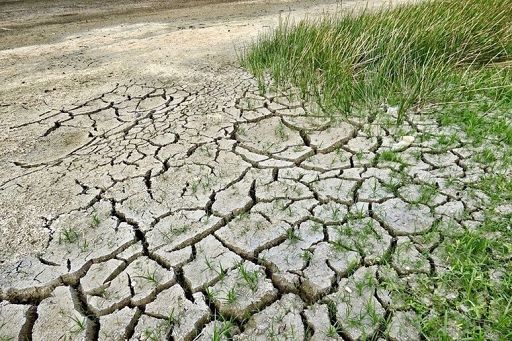 Siccità, Coldiretti: in Basilicata si rinuncia alla trebbiatura