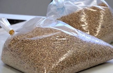 Ri.Nova e Molini Industriali lanciano tracciabilità 4.0 per farina
