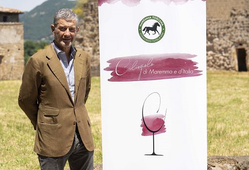 Vino, Mazzei (Doc Maremma): in 10 anni Ciliegiolo raddoppierà ettari