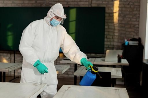 La guida per combattere le infestazioni delle blatte