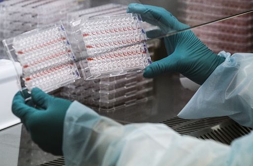 Ministero della Salute: aumento lieve dei casi Covid, impatto ospedaliero stabile