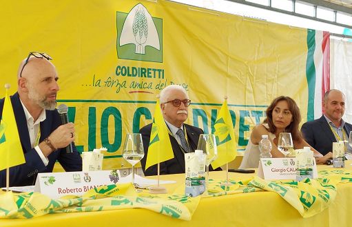 Vino, Giorgio Calabrese: non è uso ma abuso che può rivelarsi dannoso