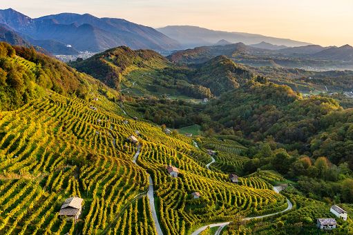 Vino, Consorzio Conegliano Valdobbiadene in Usa, Cina e Giappone