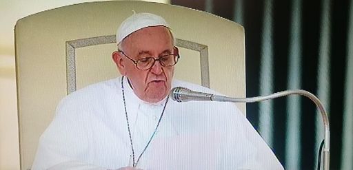 Papa: Costituzione bussola affidabile per democrazia in Italia