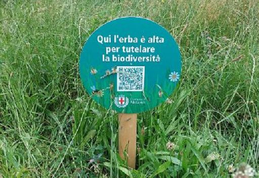 Milano, garante del verde difende riduzione sfalci prati in città