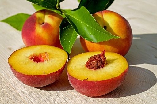 D’Eramo (Masaf): marchio bio racconterà qualità nostra produzione
