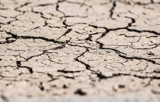 Siccità, la Sardegna dichiara lo stato di emergenza regionale