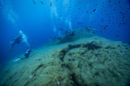 Greenpeace: 95% dei fondali di Portofino è ricoperto da mucillagine