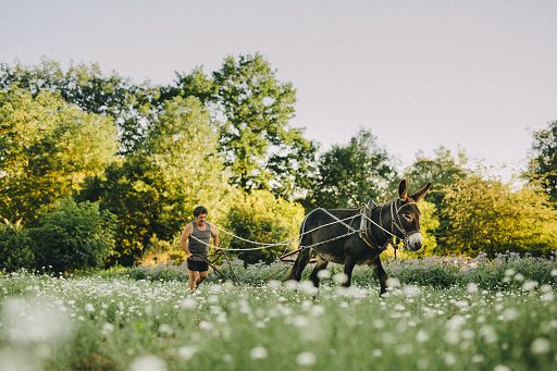 A “Terra Madre” di Slow Food due laboratori del gusto Demeter Italia
