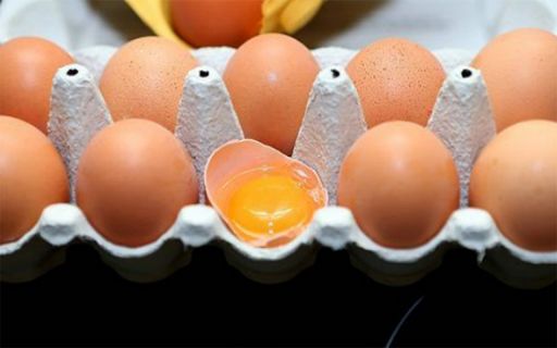 Per rischio salmonella 31 avvisi di richiamo di uova fresche