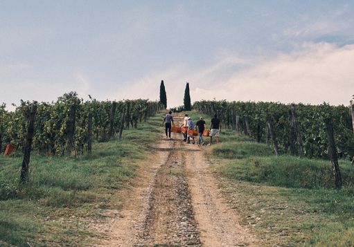 Vini La Viarte a vernissage di due importanti mostre a Venezia e Milano