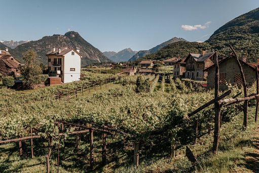 Vino, il 16 settembre “Taste Alto Piemonte” per la prima volta a Milano