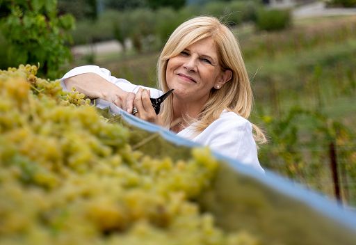 Vino, Zorzettig: nei Colli Orientali grande aspettativa per annata 2024