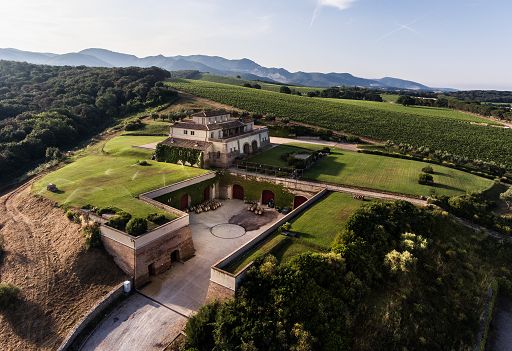 Vino, Cantina di Bolgheri Argentiera compie 25 anni e guarda avanti