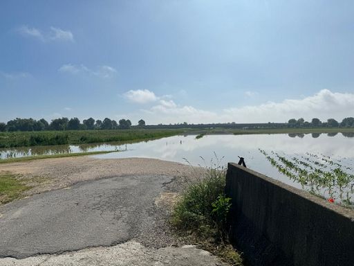 Confagri Toscana: maltempo ci dice di programmare con coraggio