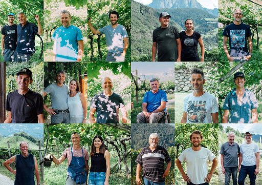 Vino, Tenuta Lageder: bio o biodinamiche anche uve nostri conferitori