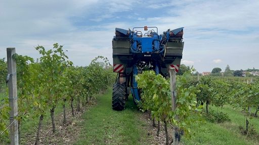 Da Piemonte 20,6 mln contributi Pnrr per 1000 aziende agricole