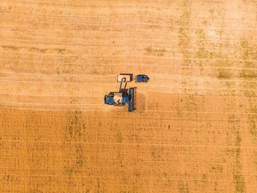 Cia: in legge Bilancio serve fondo per manutenzione territorio